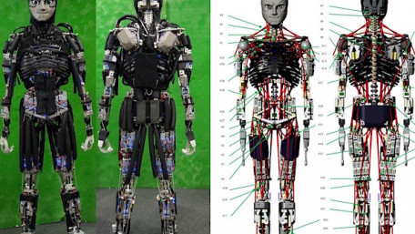 A Robot that Sweats? Engineers Try Bio-Inspired Heat Management