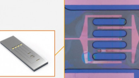 Archer Materials Takes a Different Approach to Quantum and Biotechnology