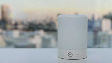 Smart Speaker Acoustic Measurements