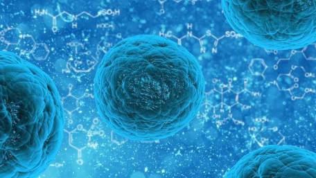 Utilizing Electricity-Producing Bacteria for Powering Programmable ‘Biohybrid’ Systems