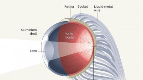The Future of Vision Looks Bright With Advances in Prosthetic Retinas