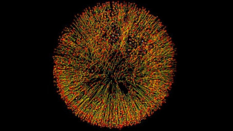 Inspired by Coffee Rings, Cambridge Researchers Create Ink for Next-Gen Printed Electronics