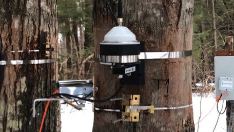Tree Tech: Enlisting Electronics in Environmental Protection