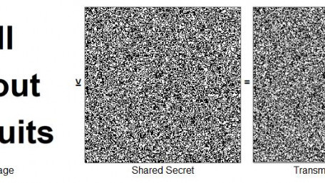 The Diffie-Hellman Exchange in Embedded Cryptography
