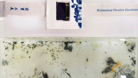 Researchers Race to (Literally) Dissolve the Issue of E-Waste