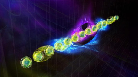 New Measurement Protocols Introduced for Categorizing Quantum States