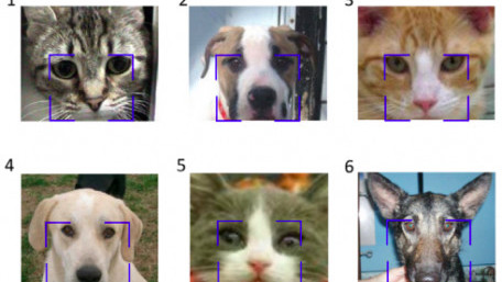 Inspired by Pavlov, Researchers Use Light to Bring Classical Conditioning to AI 