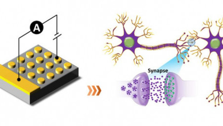 Interface-type Memristive Device Pushes Neuromorphic Computing Onward