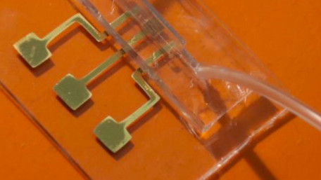 How Chip Researchers Have Led the Charge in COVID-19 Diagnostic Tests