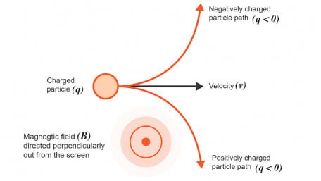 Lorentz Force Calculator