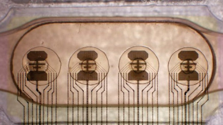 Swiss Startup Sets Out to Develop the World’s First Living Processor