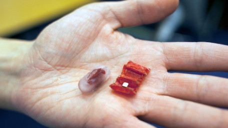 Programmable Matter in Medical Technology: The Origami Robot Made of Meat