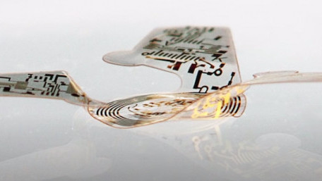 Flying Microchip Takes Inspiration From Wind-dispersed Seeds 