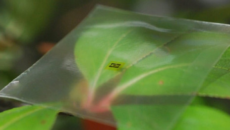 Developing Bendable and Entirely Flexible Electronics with A New Class of Films 