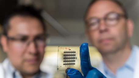 Georgia Tech Research Aims to Solve Organic Thin-Film Transistors’ Stability Problem