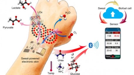 Powered by Human Sweat, A New Electronic Skin Can Send Biometrics via Bluetooth