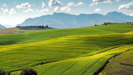 Using IoT and Cellular to Control Agricultural Pests