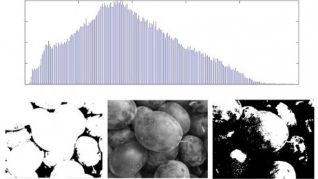 Pixel Intensity Histogram Characteristics: Basics of Image Processing and Machine Vision