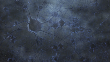 How Elon Musk’s Neuralink and Bryan Johnson’s Kernal Are Bridging the Biological-Digital Gap