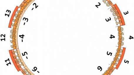 Two’s Complement Representation: Theory and Examples