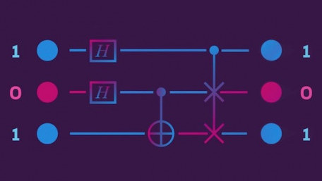Explaining the Most Recent Record for Quantum Computing: A 51-Qubit Quantum Computer Array