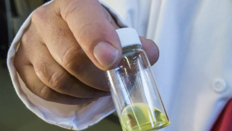 Perovskite Solar Cells Show Promise as Researchers Mitigate Challenges with Production