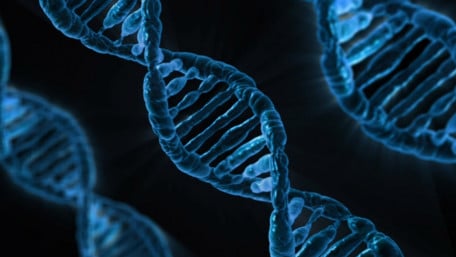 Gold-Coated DNA Nanowires Could Power Genetic Computing