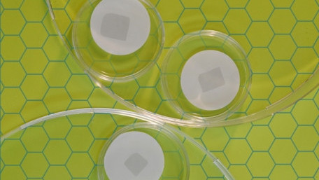 A Slow-Roll Revolution? Graphene Research Yields New Biosensors, UAV “Skins”, and Molecular Filters