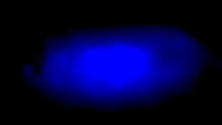 UC Berkeley Researchers Offer New Insight on the Use of Perovskite Semiconductors and Their Limitations