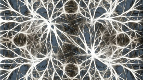 Computers Designed to Mimic Human Brains May Achieve Truly Intelligent AI