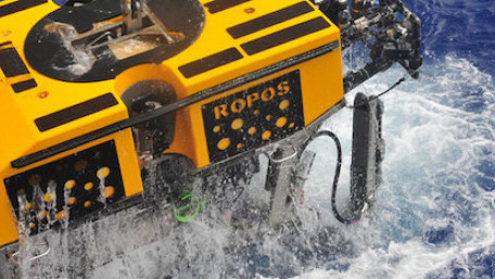The Expanding Role of Aquatic Imaging and Robotics in Ocean Conservation