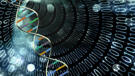 These Analog DNA Computers Could Potentially Stop Cancer