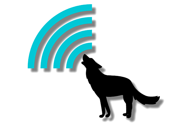 Is SSH Security the Future of Embedded Devices? A Talk with wolfSSL ...