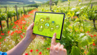Unlocking Weather Insights with LoRa: Revolutionizing Weather Station Communication