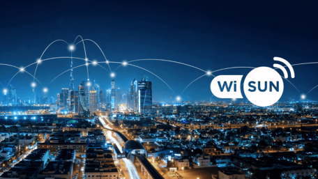 Building a Secure and Scalable IoT Wireless Network with Wi-SUN