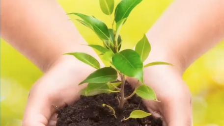 Intelligent Sensing for Environmental and Process Measurement